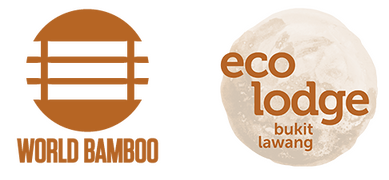 World Bamboo Organisation and Eco Lodge